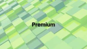 GoKorea Scholars - Premium