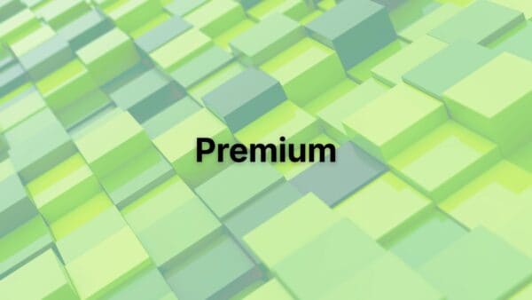 GoKorea Scholars - Premium