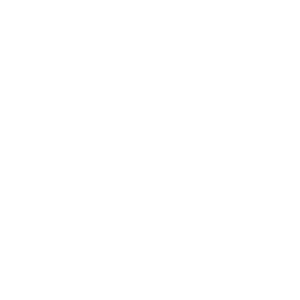 Chapter Korean services list icons (1)