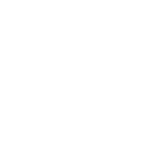 Chapter Korean services list icons (11)