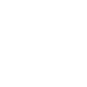 Chapter Korean services_education list icons (6)